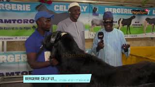 BERGERIE CELLY LY FOIRE MBOUR 2024 [upl. by Alane]