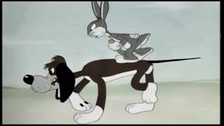 looney tunes the heckling hare [upl. by Pape810]