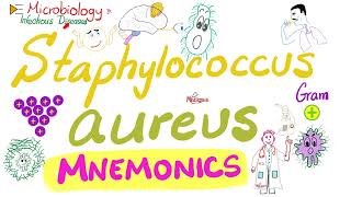 Staphylococcus aureus Mnemonics  Microbiology 🧫 amp Infectious Diseases 🦠 [upl. by Aehtela]