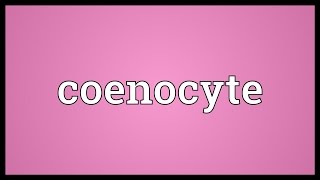 Coenocyte Meaning [upl. by Hazmah]