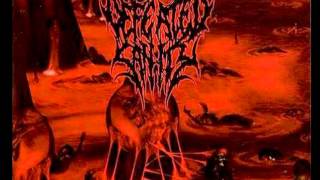 Defeated Sanity  Expectoration of Fear [upl. by Ierna]