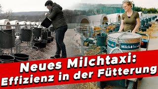 Effiziente Kälberfütterung Neues Milchtaxi im Einsatz  My KuhTube Film 780 [upl. by Grenier]