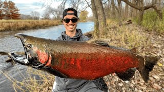 Fishing MONSTER COHO SALMON In Wisconsin Rivers 20 Fish Landed [upl. by Player727]