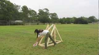 Catapults and Trebuchets for Physics [upl. by Darbie227]