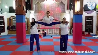 Martial Art  Taekwondo  Amazing Girls Kicks And Flexibility [upl. by Hartmann151]