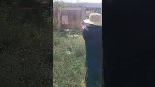 Target Shooting 9mm [upl. by Nidorf]