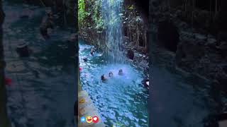 BEST Cenotes Excursion in Progreso Yucatan yucatan cenotes cruisevlog [upl. by Stoecker297]