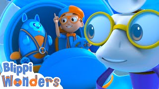 Sharks Teeth  Blippi Wonders  Kids Songs and Nursery Rhymes [upl. by Eustasius]