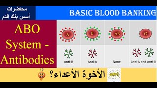 Lecture 32 ABO system Antibodies [upl. by Ocnarf]