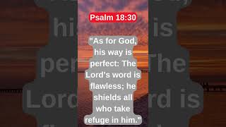 Powerful Psalms for Protection 🙏  Find Peace amp Strength in Scripturequot biblequotes godsprotection [upl. by Nikolaos]