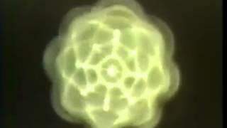 Gregg Braden Water Vibration and Sacred Geometry [upl. by Aneelahs]