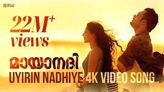 Mayanadhi Malayalam Movie Summary Explanation 360P  Tovino Thomas  Aishwarya [upl. by Andri]