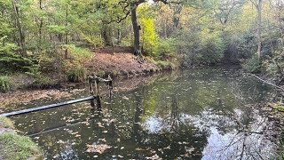 Walk from guisborough past Blue lake up to the Moors [upl. by Graff]