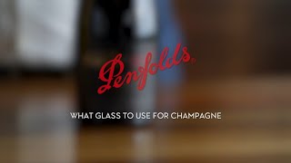 The perfect champagne glass  Penfolds [upl. by Hum]