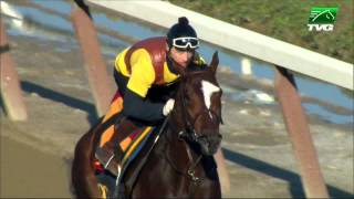 The Works  Belmont Stakes Winner Tonalist Saturdays Show [upl. by Heins]