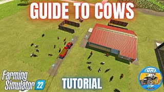 GUIDE TO COWS  Farming Simulator 22 [upl. by Matthias848]