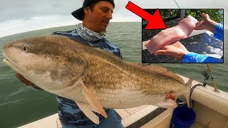 Most People Dont Eat this Fish  Guess what it is  Catch Clean Cook [upl. by Auot]