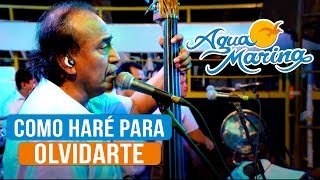 Agua Marina  Como haré para Olvidarte En Vivo [upl. by Hgielek42]