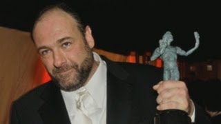 James Gandolfini Dead Cause of Death Cardiac Arrest Died on Vacation in Italy [upl. by Ellicott]