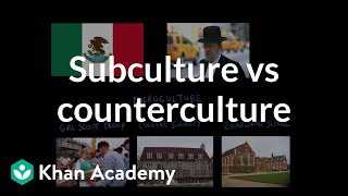 Subculture vs counterculture  Society and Culture  MCAT  Khan Academy [upl. by Origra702]