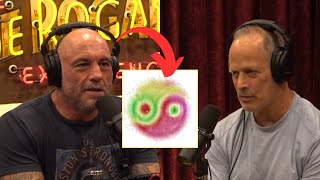 MindBlowing Quantum Entanglement YinYang Photon Visualization  Joe Rogan amp Sebastian Junger JRE [upl. by Ketti543]