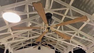 Casablanca Classic Belt Driven Ceiling Fans With Custom Blades [upl. by Aznofla]