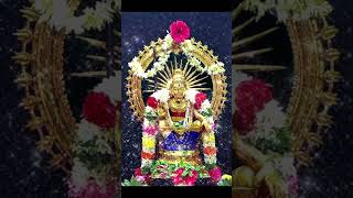 சுவாமியே சரணம் ஐயப்பா 🙏✨️ saranam 18padi viratham karthigai month sabarimala popular kerala [upl. by Yedrahs]