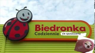 Przeróbka reklamy biedronka [upl. by Lovering688]