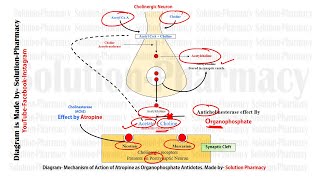 GPAT Exclusive Antidote for Organophosphorus Poisoning  Atropine Mechanism of Action as Antidotes [upl. by Esbenshade277]