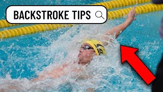 How to master Backstroke Swimming  Tips amp Drills from an NCAA Champion [upl. by Quickel95]