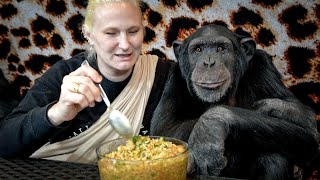 Chimp Dinner Live from Safari Lodge  Myrtle Beach Safari [upl. by Aldo]