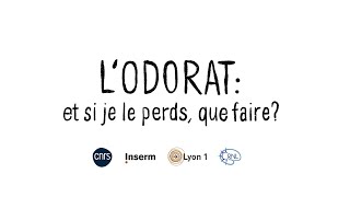 LODORAT  et si je le perds que faire [upl. by Bullough]