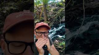 Rakes of Clonmel  Harmonica ☘️🇮🇪🎶 irish harmonica irishmusic ireland water waterfall [upl. by Eladal942]