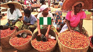 Lagos Nigeria 4k  Market Life in Biggest and Insanely busy African Raw Food Market [upl. by Georgi]