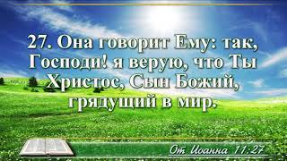 ВидеоБиблия Евангелие от Иоанна без музыки глава 11 читает Бондаренко [upl. by Bandur]