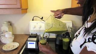 Blendtec vs Oster Versa Overview amp Green Smoothie Test [upl. by Swan]