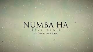 Dilu Beats  Numba Ha Slowed Reverb Music [upl. by Tatman]