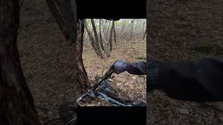 GIORNATA SCIVOLOSA mtb gopro scivoloso jolly fail enduromtb [upl. by Auos933]