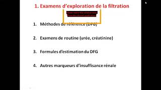 Dr Gouri Exploration fonctionnelle du rein2 [upl. by Aihsemat544]