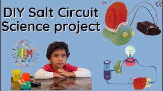 DIY Salt Circuit Science Experiment with Play Dough [upl. by Crofoot]