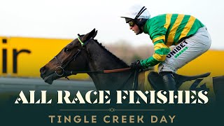 ALL RACE FINISHES  BETFAIR TINGLE CREEK DAY AT SANDOWN PARK [upl. by Relly312]