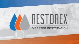 Restorex Disaster Restoration  Quick Company Overview [upl. by Anuahsed]