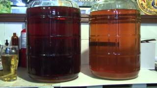 How to Make Hard Cider at Home with Fresh or StoreBought Cider [upl. by Isherwood]