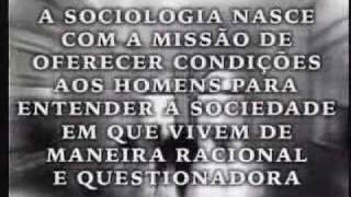 O que é sociologia [upl. by Devonne]