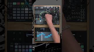 SQUARP JAM hapax synth squarp eurorack musicproduction [upl. by Henryetta]