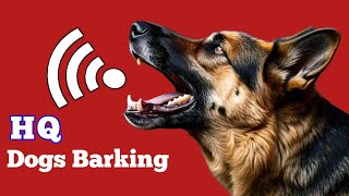 Dogs Barking Sound Effect  HighQuality Sound Effects [upl. by Ennyroc]