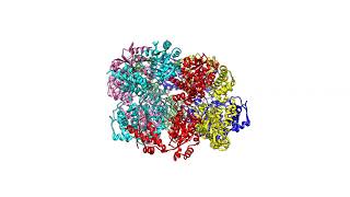 Tomography for Cell Biology amp Workshop Agenda amp How to Apply to the NIH CryoET Centers [upl. by Teeniv]