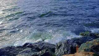 Dubai 🔥The lapping waves of the water at Ajman Beach are amazing to watch [upl. by Ainod]