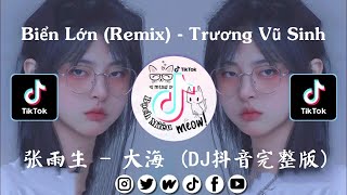 Biển Lớn Remix  Trương Vũ Sinh  张雨生  大海 DJ抖音完整版  抖音 Douyin Song  抖音音樂熱門歌 2021 [upl. by Asillam]