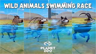 Giant Anteater Plains Zebra Horned Oryx Sand Cat Timber Wolf  Planet Zoo Swimming Race [upl. by Sorodoeht]